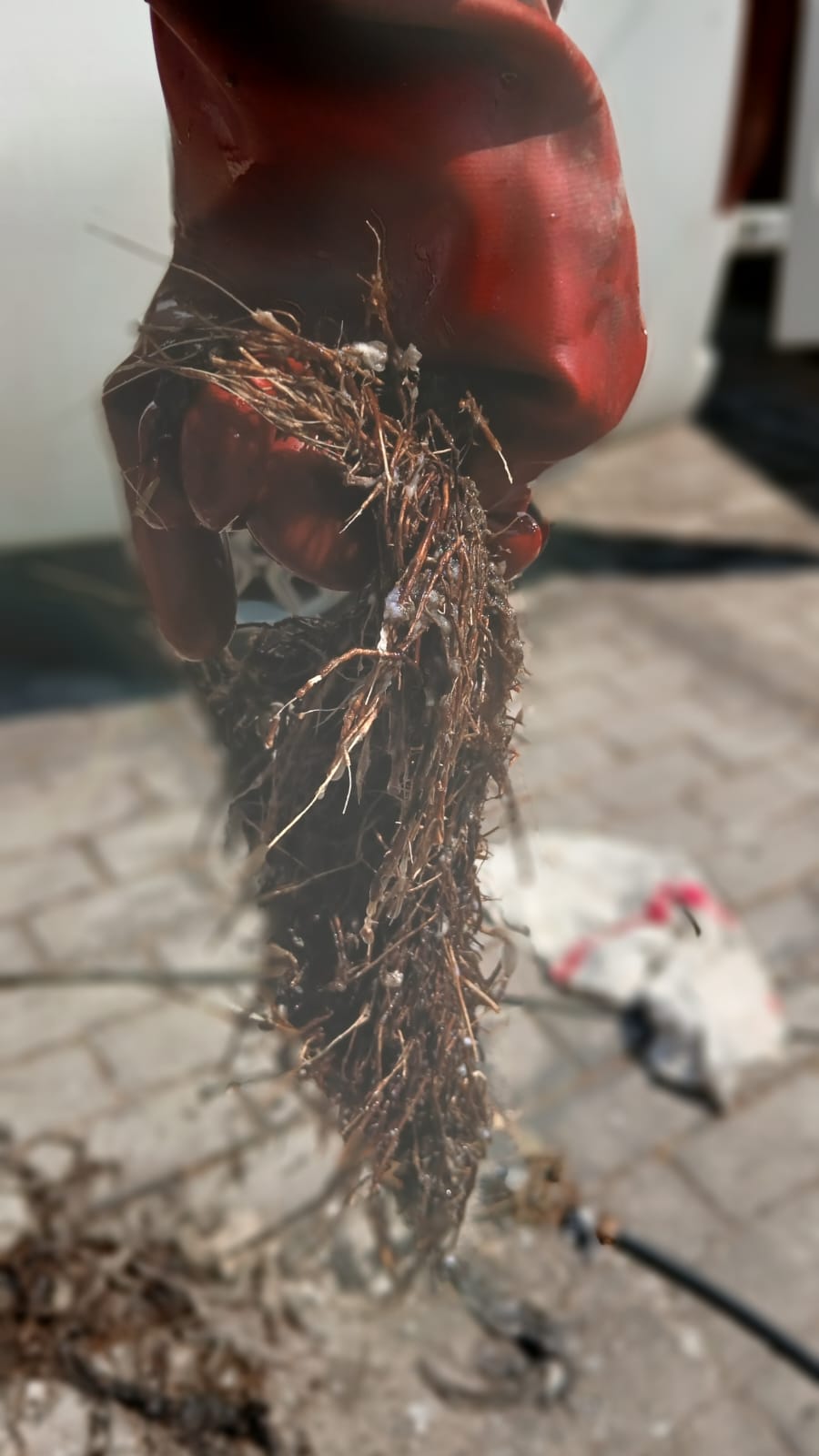 Drain and Plumbing Services in Menlyn | Drain Masters | Professional Solutions