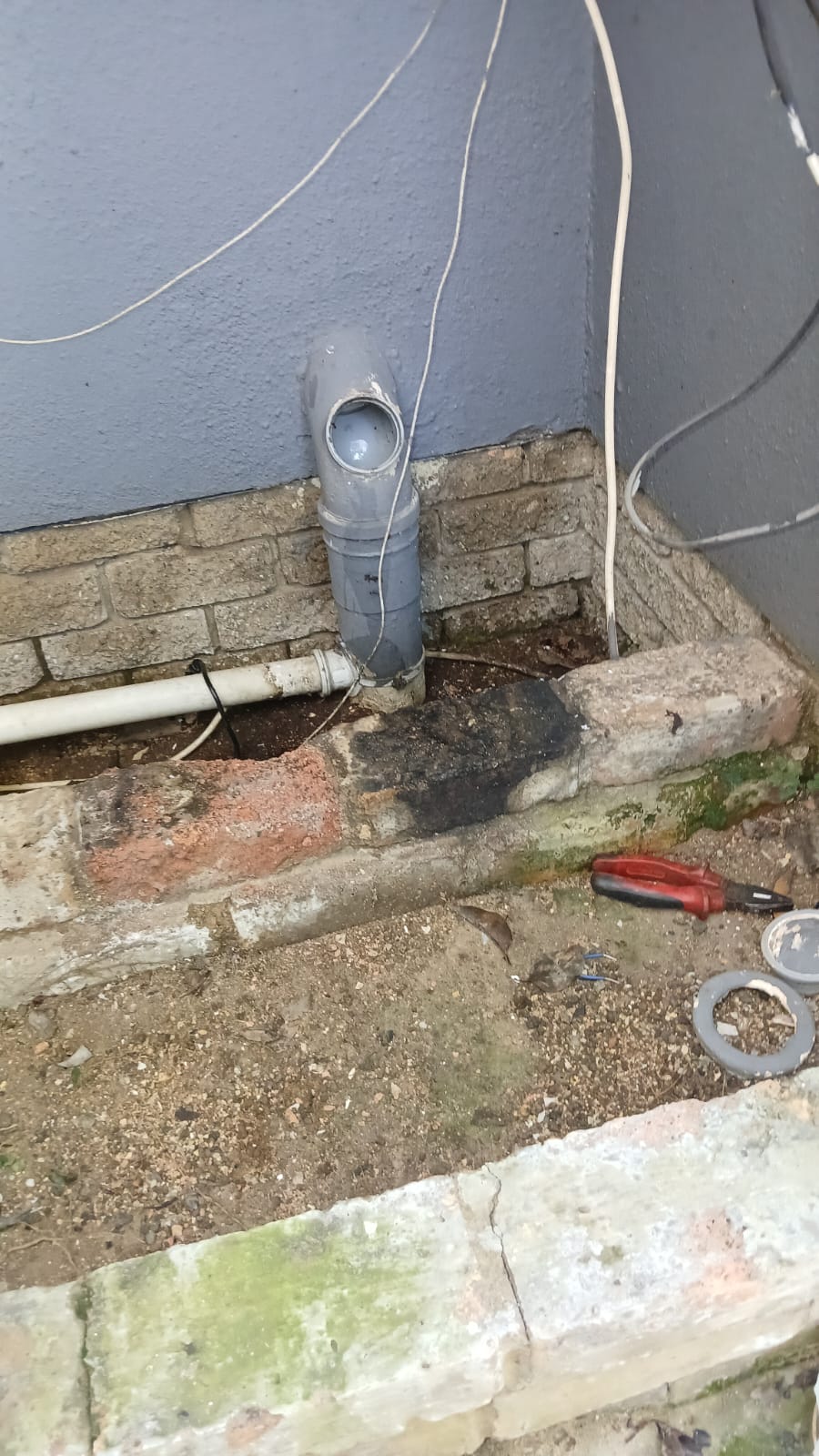 Close-up of root intrusion in sewer pipe before removal Vorna Valley