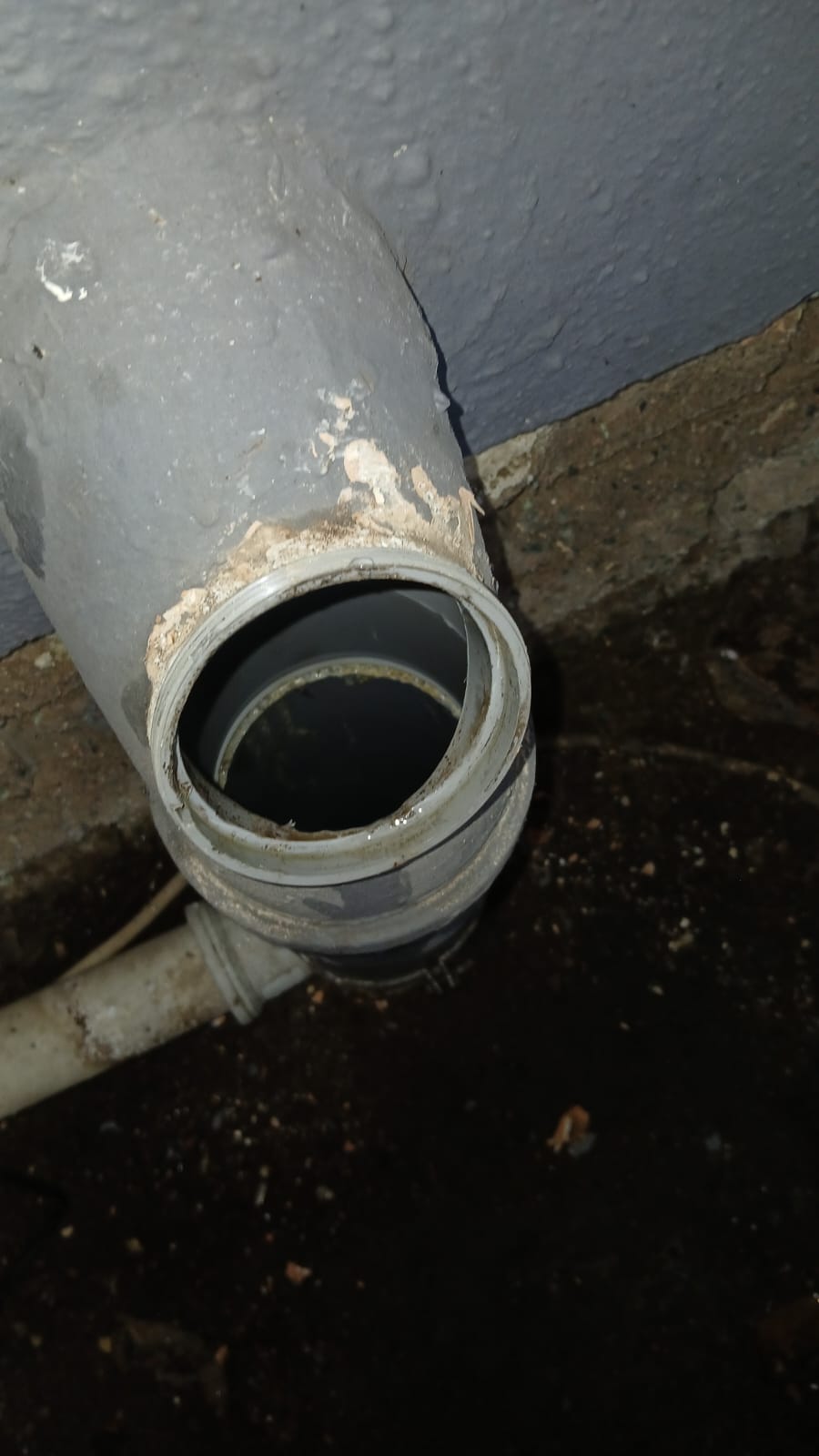 Tree root intrusion blocking residential drain pipe in Vorna Valley Midrand