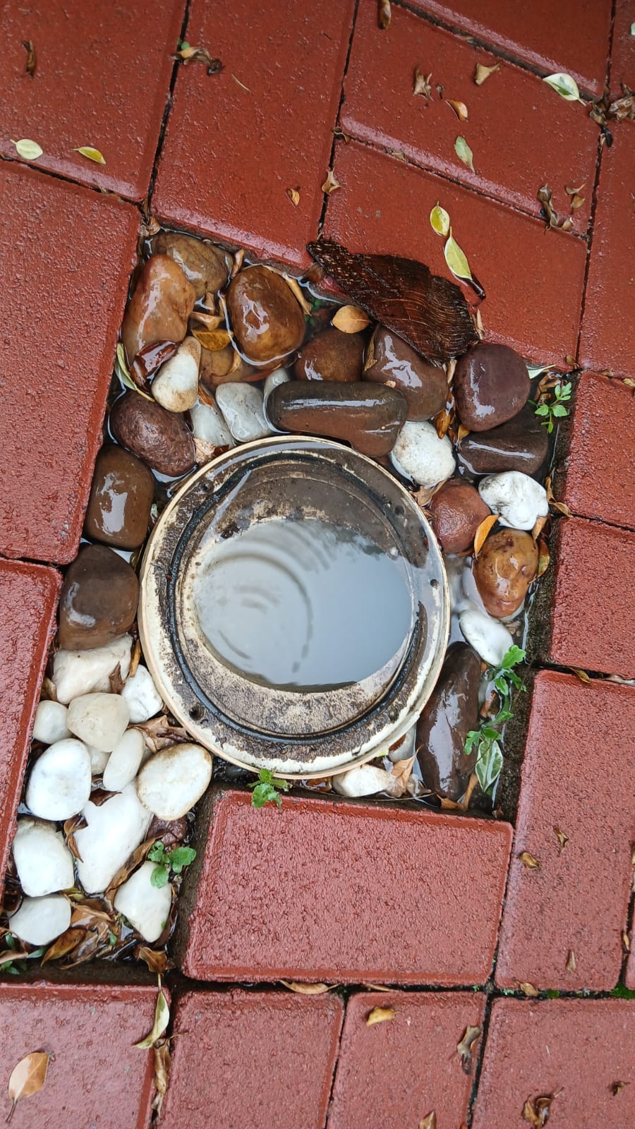 Blocked industrial drain before cleaning at atchar factory, Pretoria