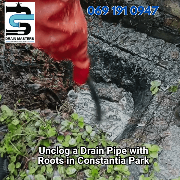 How to Unclog a Drain Pipe with Roots in Constantia Park