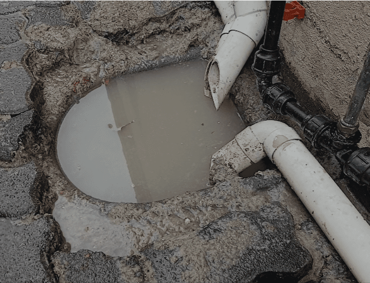 Severely blocked kitchen drain in Buccleuch showing thick fat accumulation before cleaning