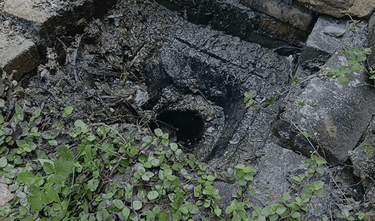 CCTV camera showing heavy root intrusion inside drain pipe before cleaning, Constantia Park