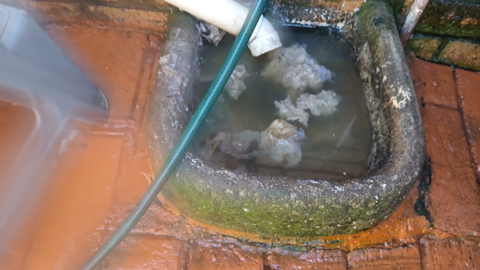 High-pressure water jetter in use cutting through tree root blockage in Lyttelton Manor drain