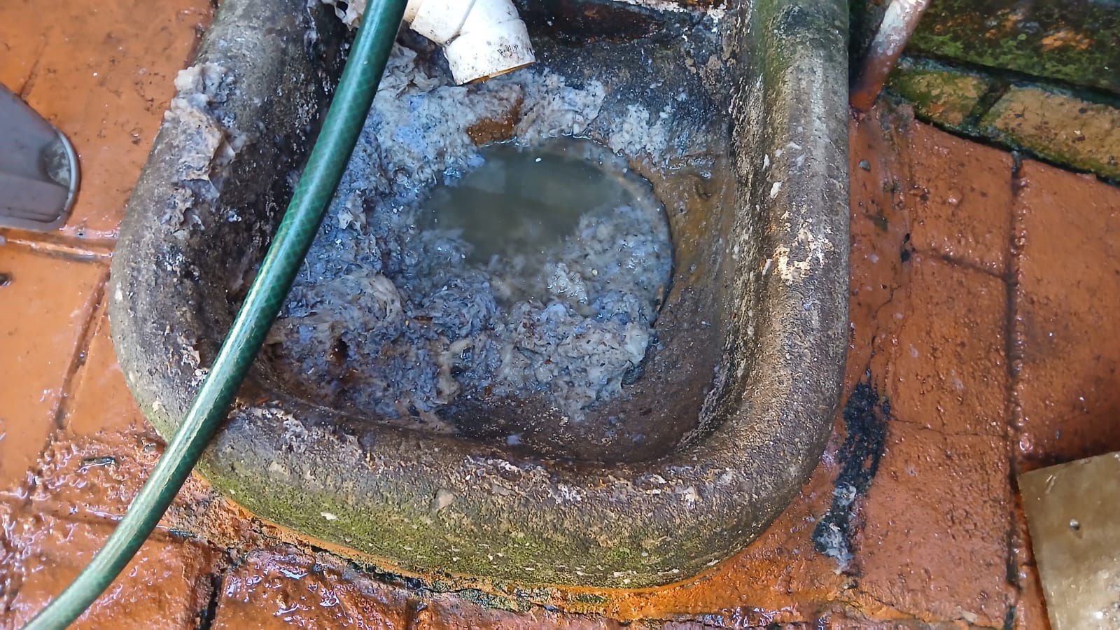 Severely blocked sewer pipe showing dense tree root intrusion before clearing in Lyttelton Manor