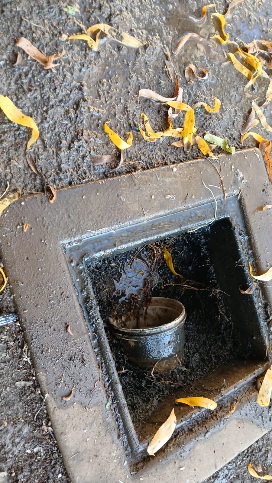 How Long Does Hydro Jetting Take? Drain Cleaning Explained