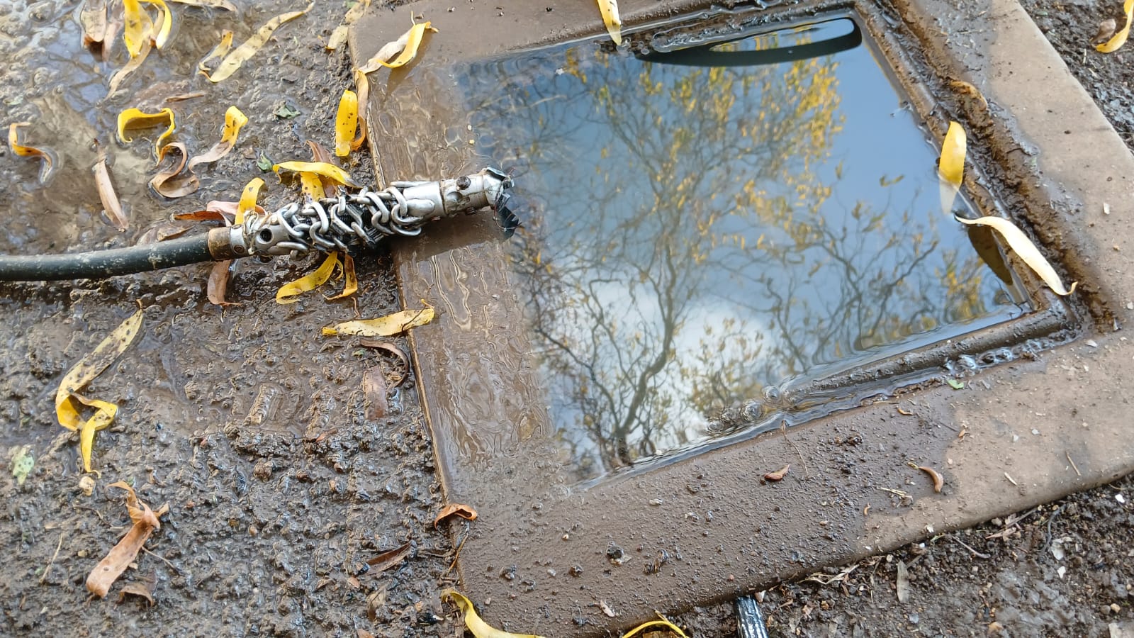 How Long Does Hydro Jetting Take? Drain Cleaning Explained